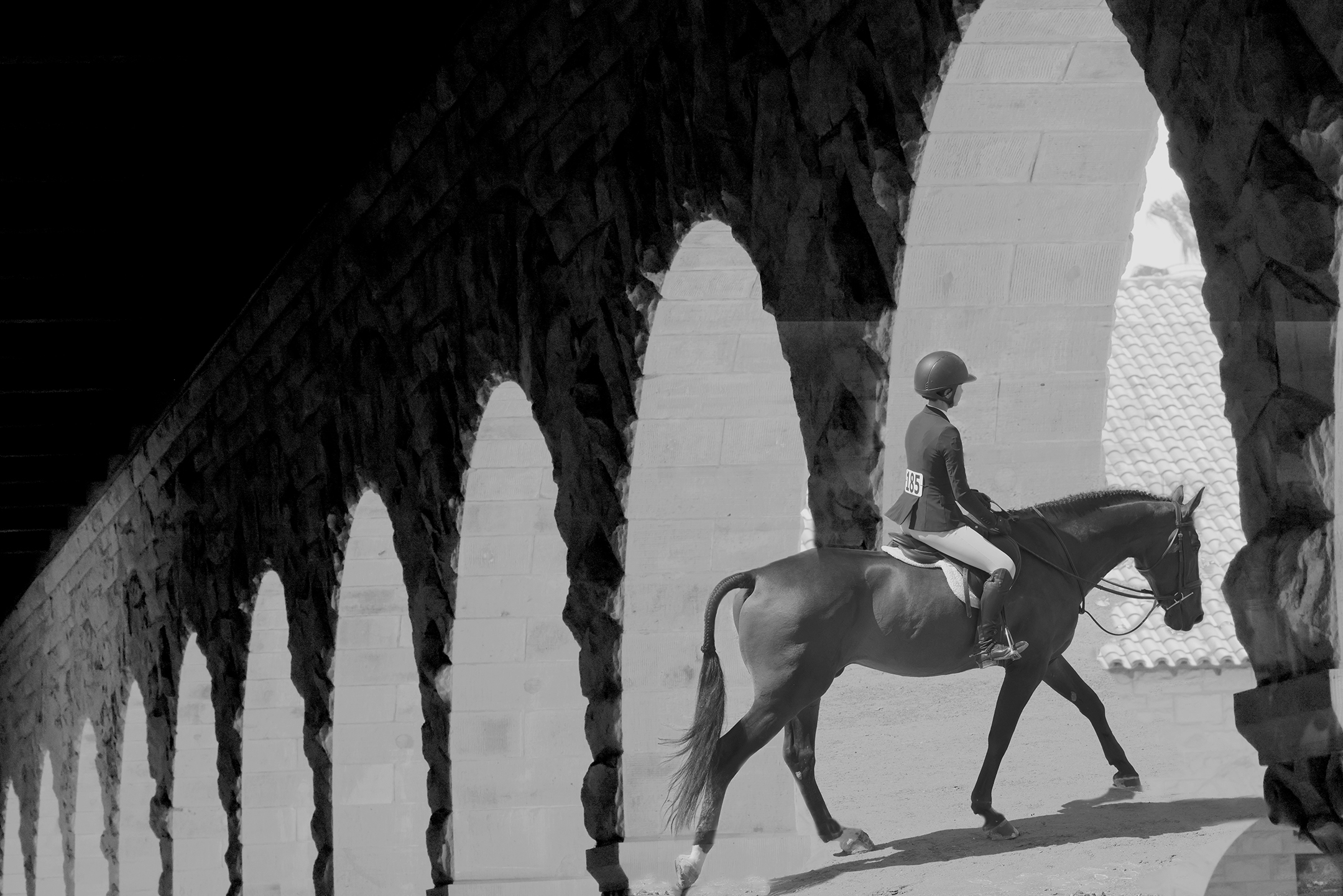 Horse walking under arches