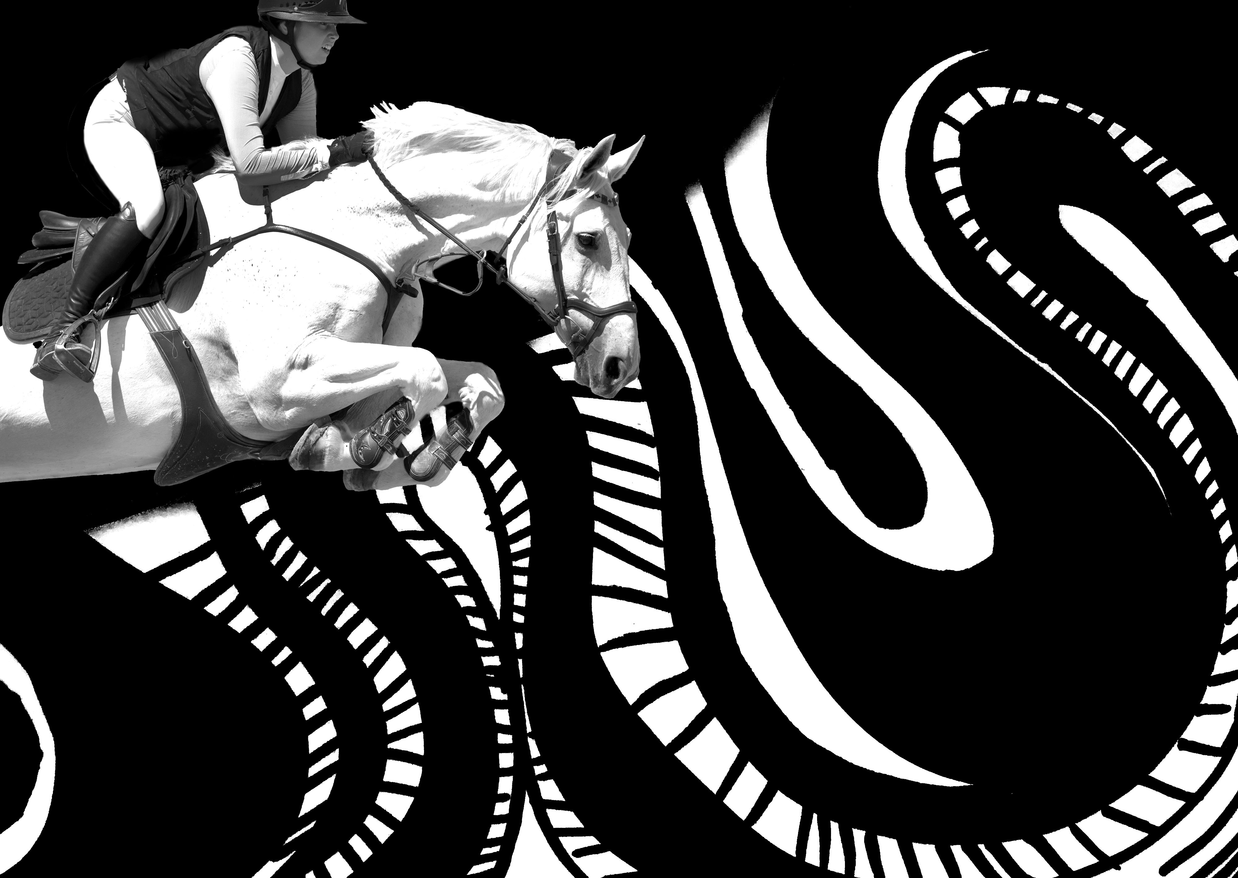 White horse jumping out of graphic background