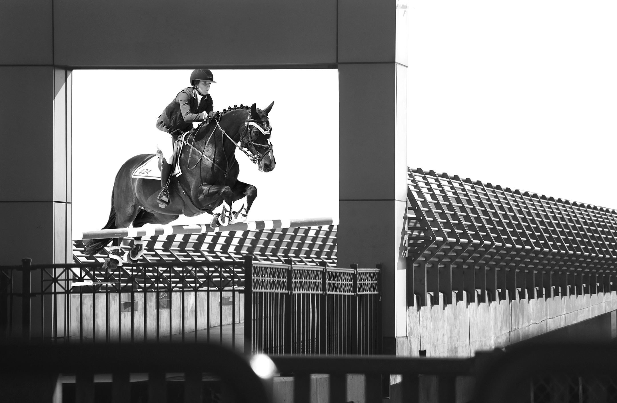 Horse jumping in geometric background