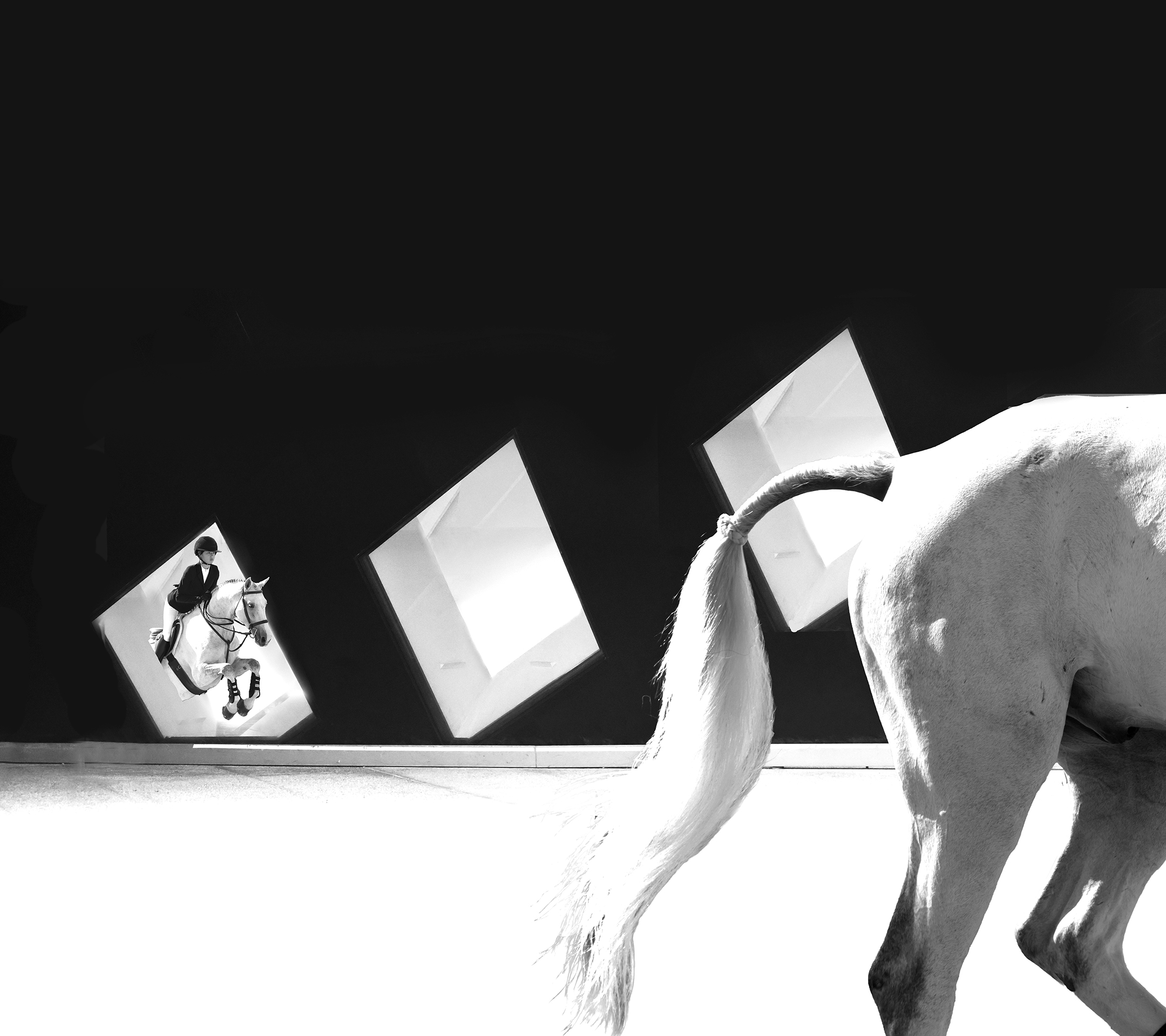 Horse jumping through graphics