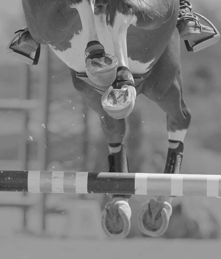 Black and white horse hooves jumping