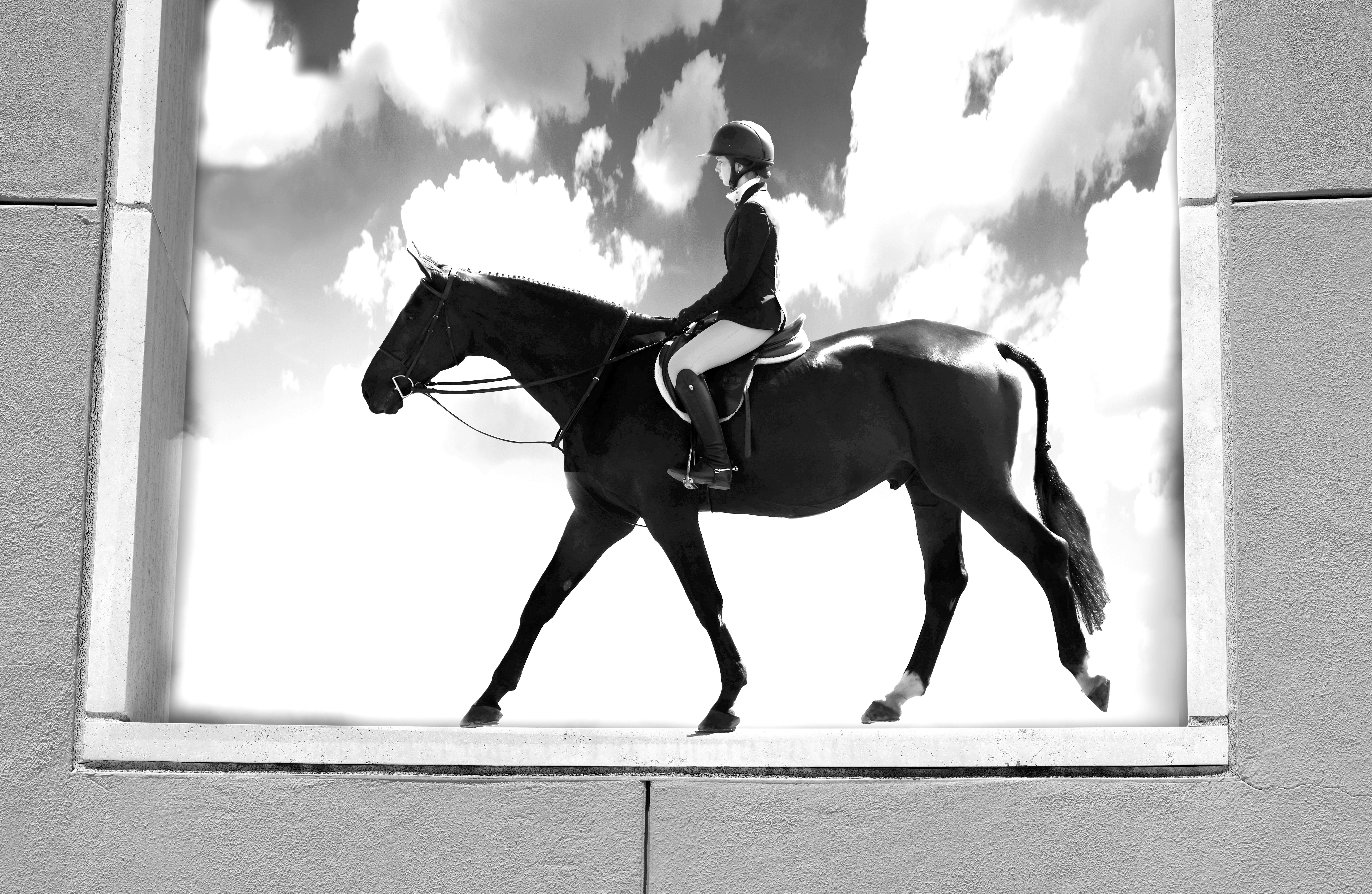 Horse shadow among clouds