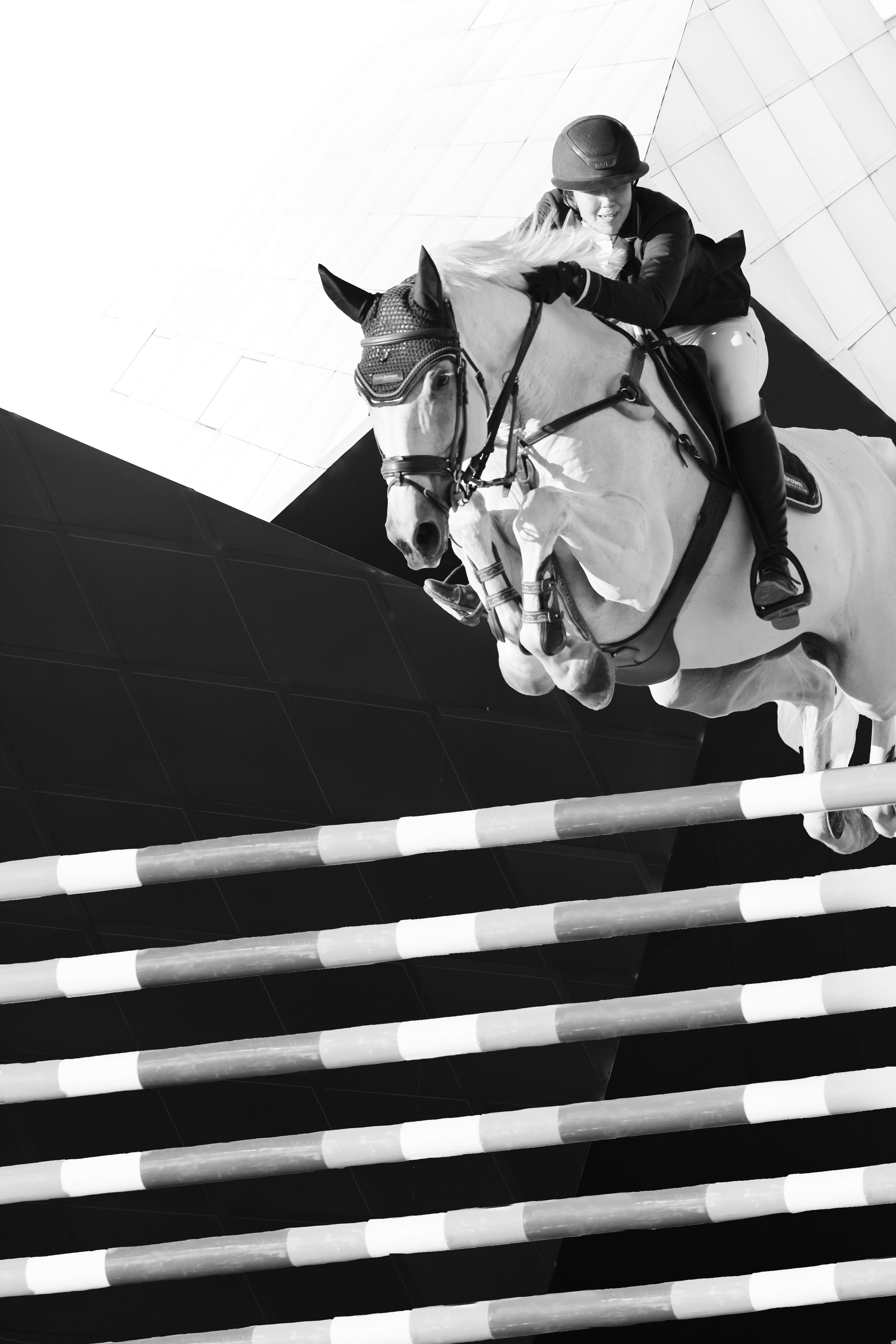 White horse jumping with graphic background