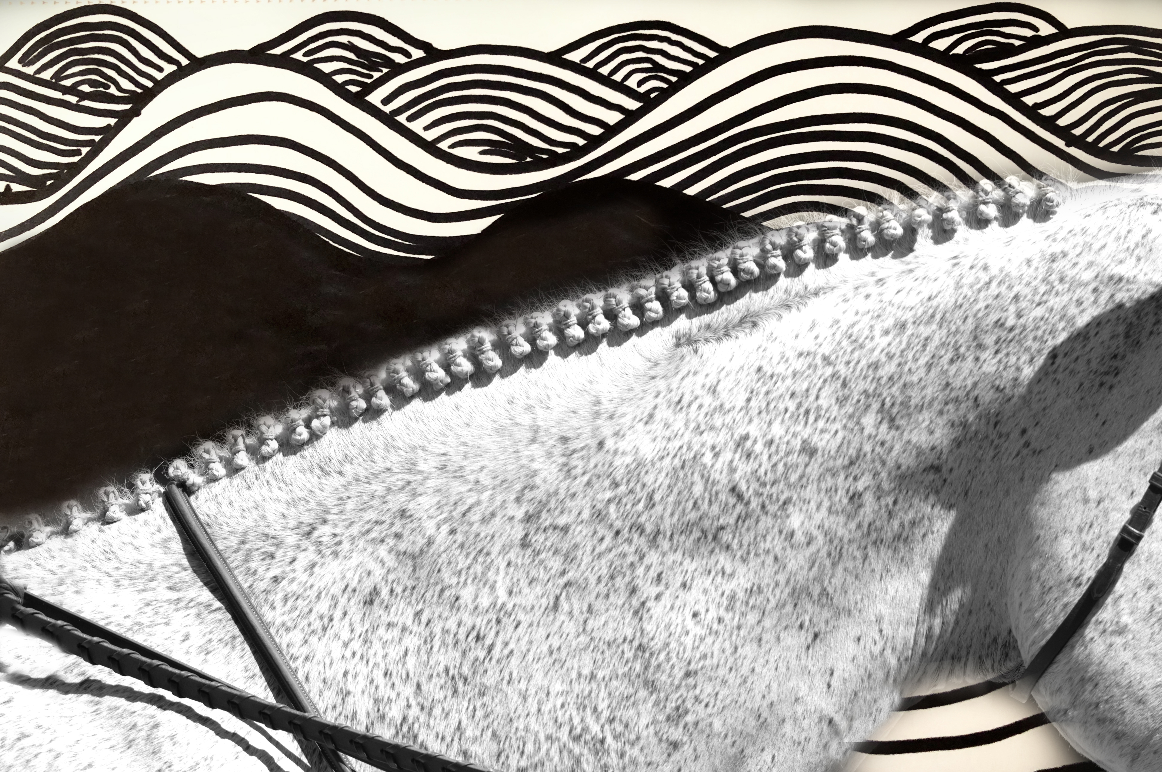Horses' mane with Sharpie mountains background