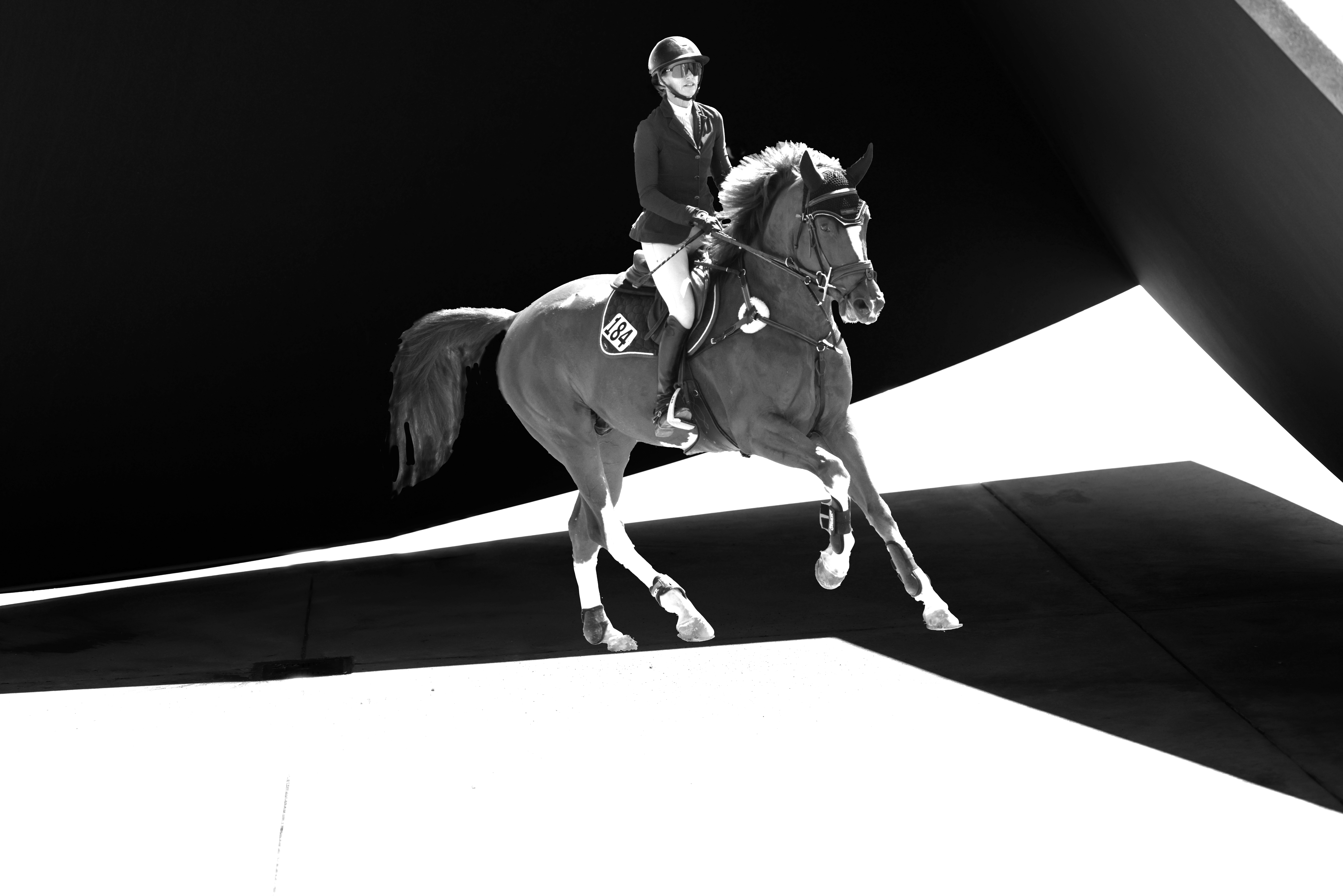 Horse galloping among graphic shadows