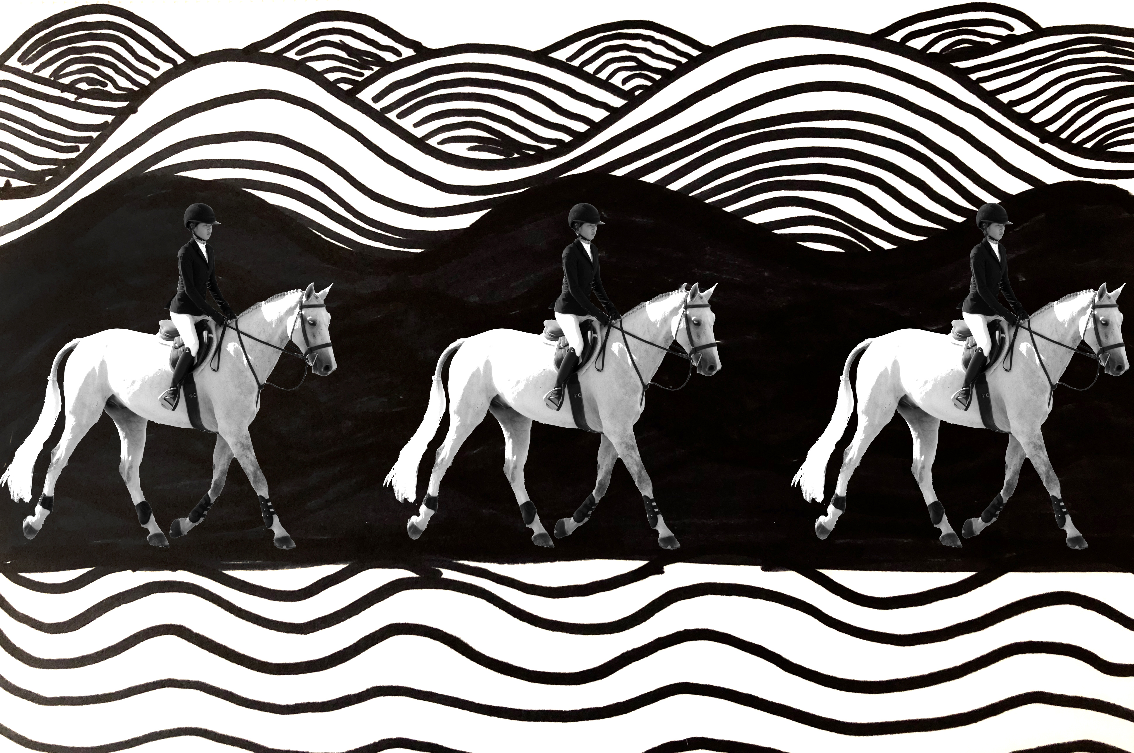 Three white horses on Sharpie drawn background