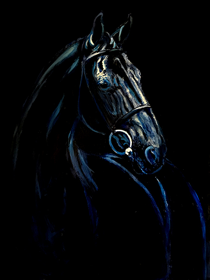 Shiny black horse portrait