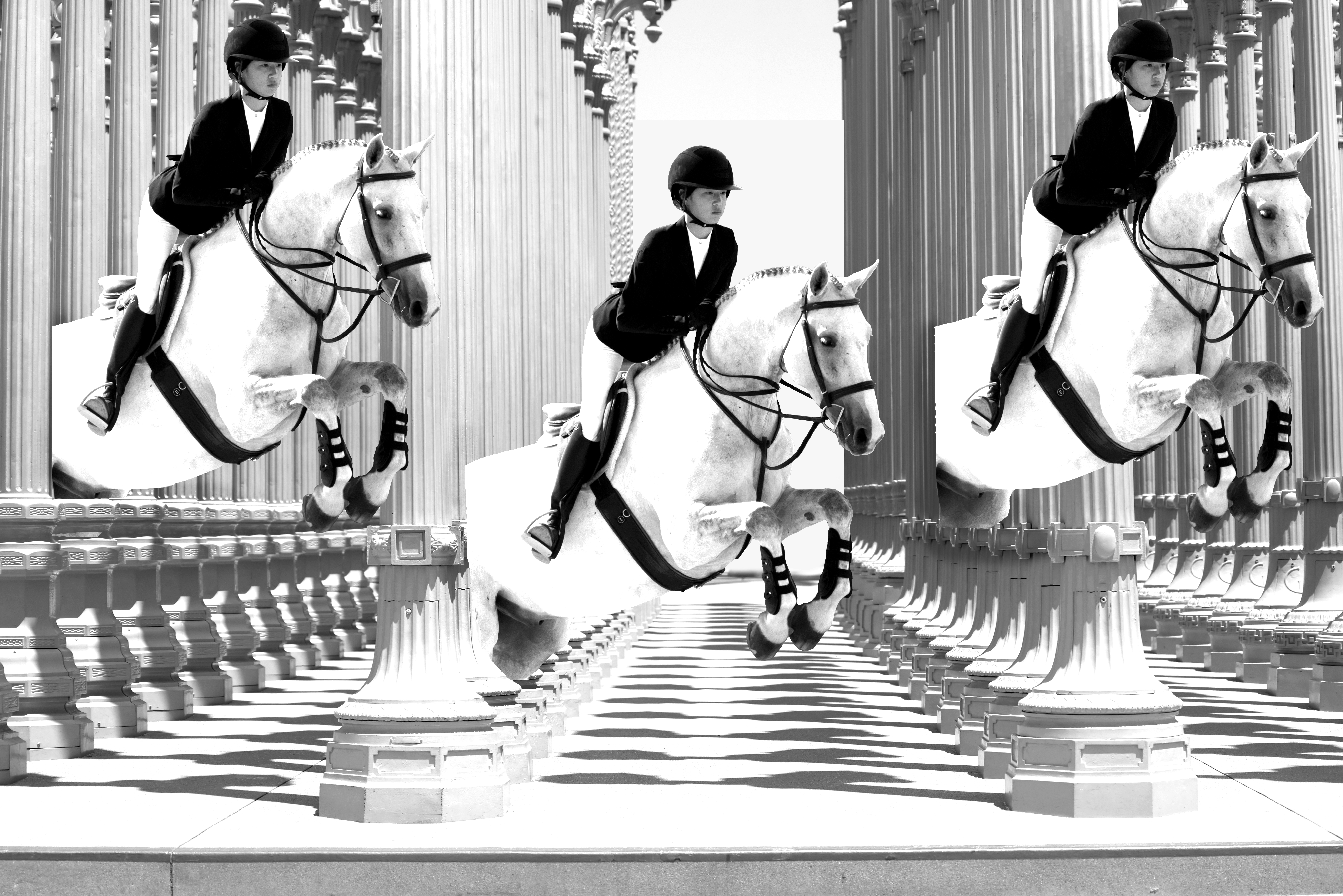White horses amid columns